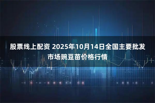 股票线上配资 2025年10月14日全国主要批发市场豌豆苗价格行情